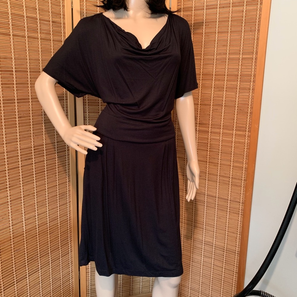Serena Williams dress
